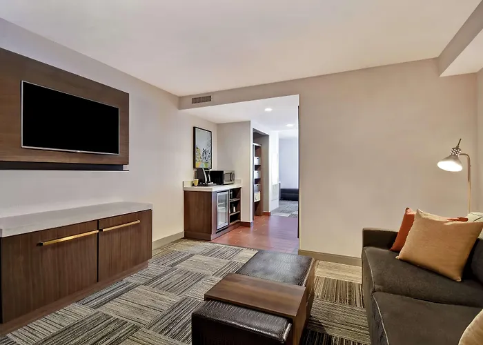 Hilton Garden Inn Houston/Galleria Area
