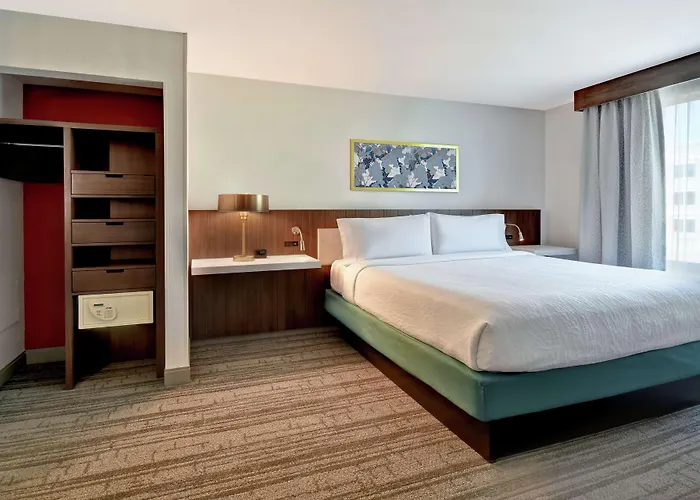 Hilton Garden Inn Houston/Galleria Area